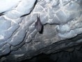 /album/velka-fatra-tlsta-ostra/a2012-velka-fatra-05-jpg/